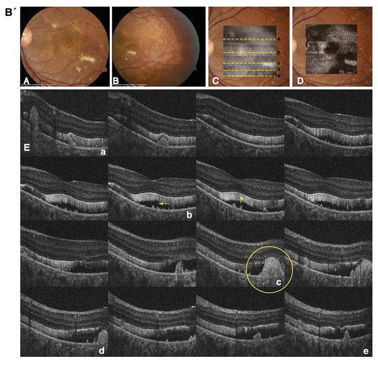 Fig. 2