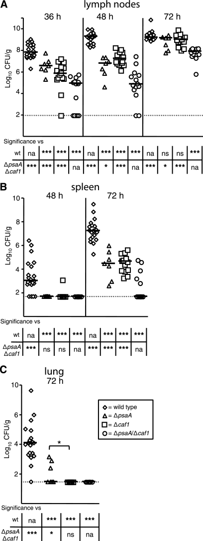 FIG. 1.