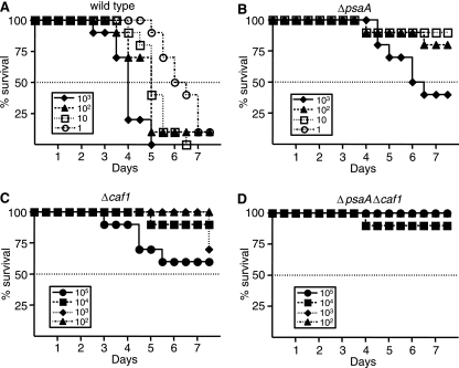 FIG. 2.