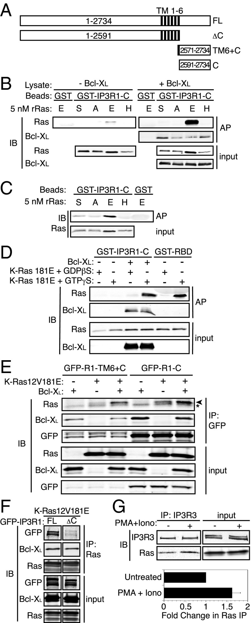 Fig. 2.