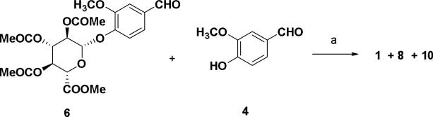 Scheme 3