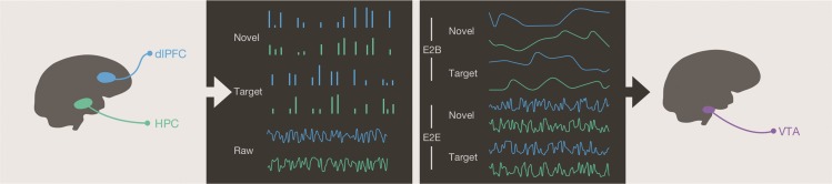 Figure 2.