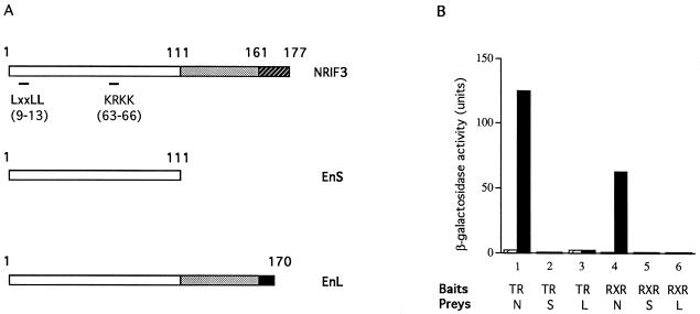 FIG. 8