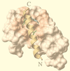 FIG. 10