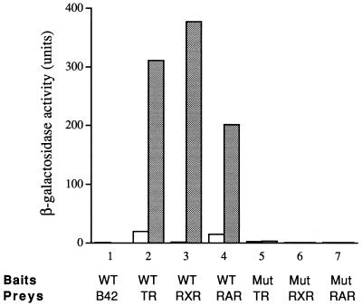 FIG. 11