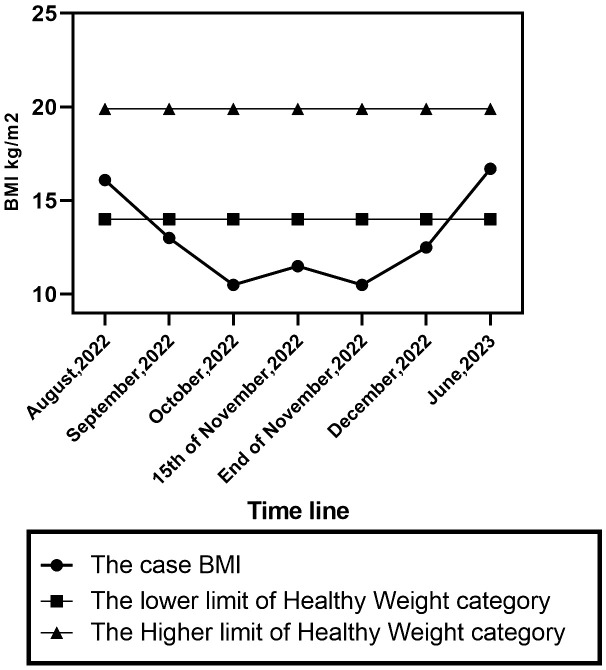 Figure 1