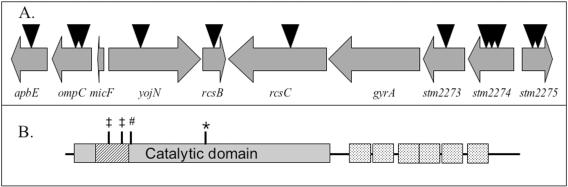 FIG. 2.