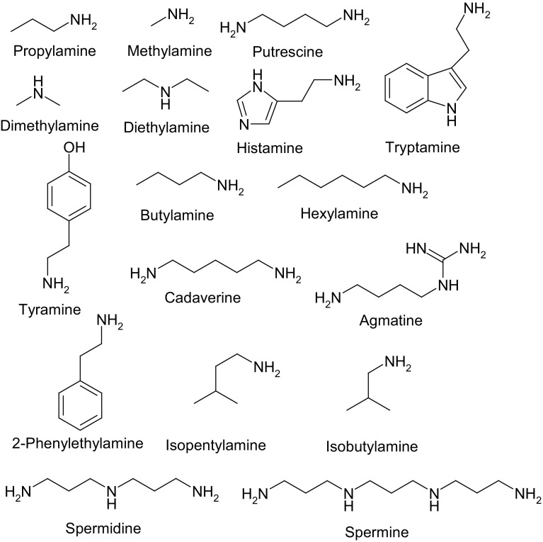 Fig. 4