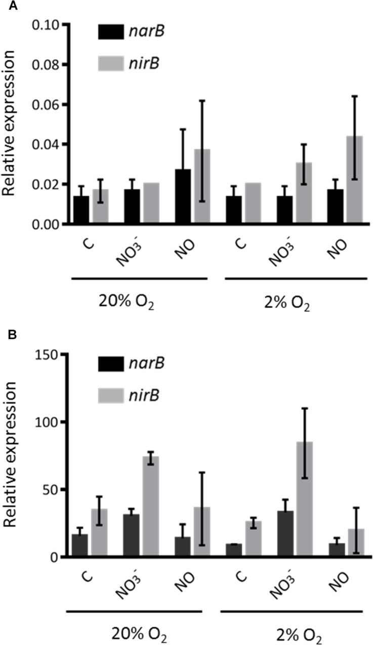 FIGURE 3