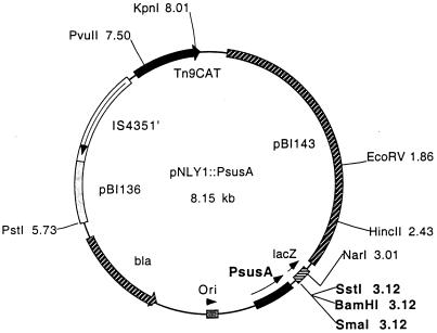 FIG. 1