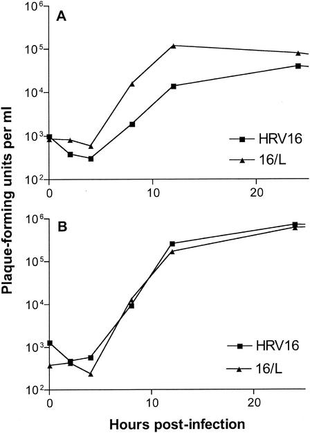 FIG. 1.