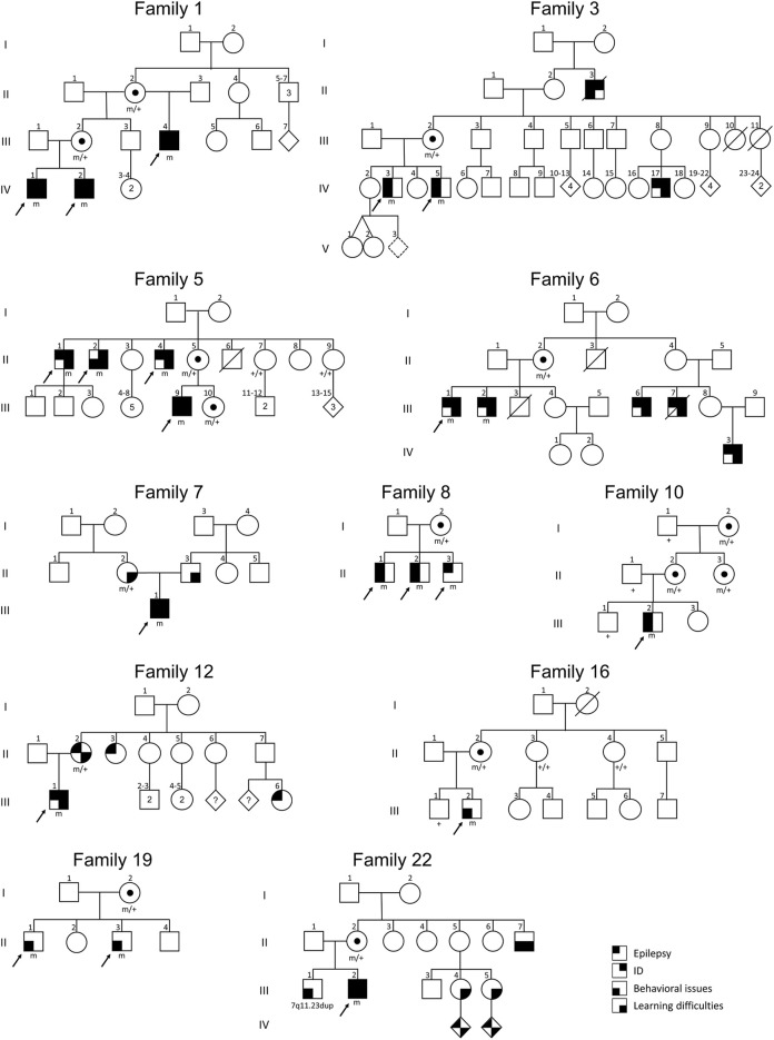 FIGURE 3