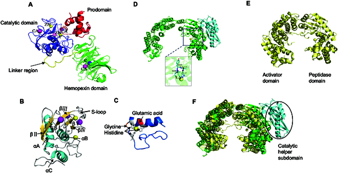 Fig. 4.