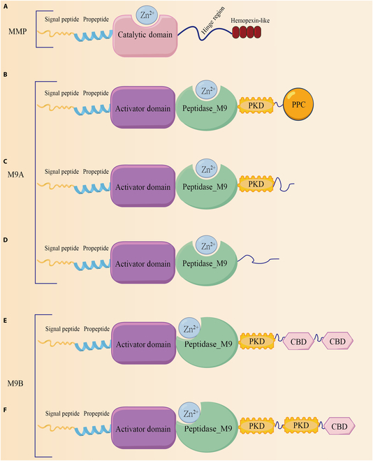 Fig. 2.