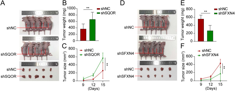 Figure 12