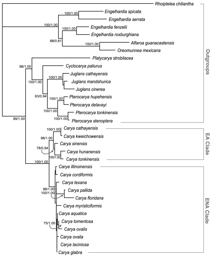 Figure 2