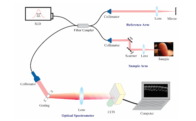 Fig. 1