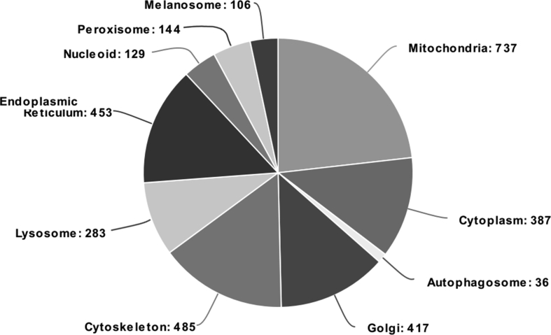 Supplemental Fig. 3