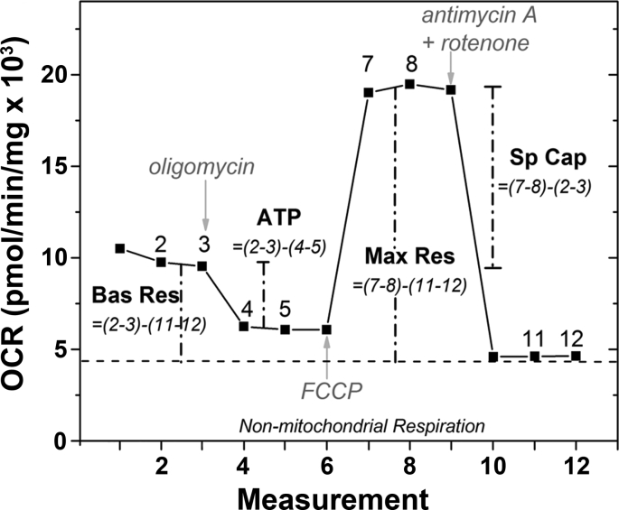 Supplemental Fig. 2