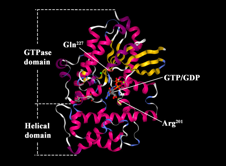 Fig. 2