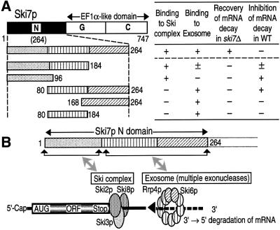 graphic file with name cde456f8.jpg