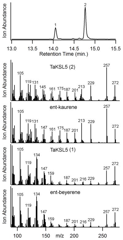 Figure 5