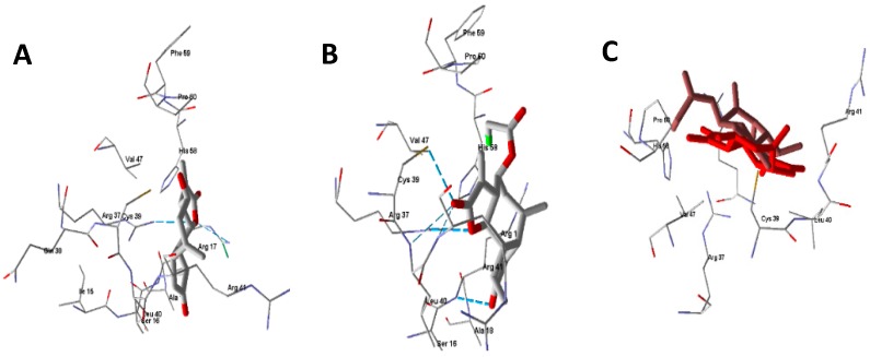 Figure 6