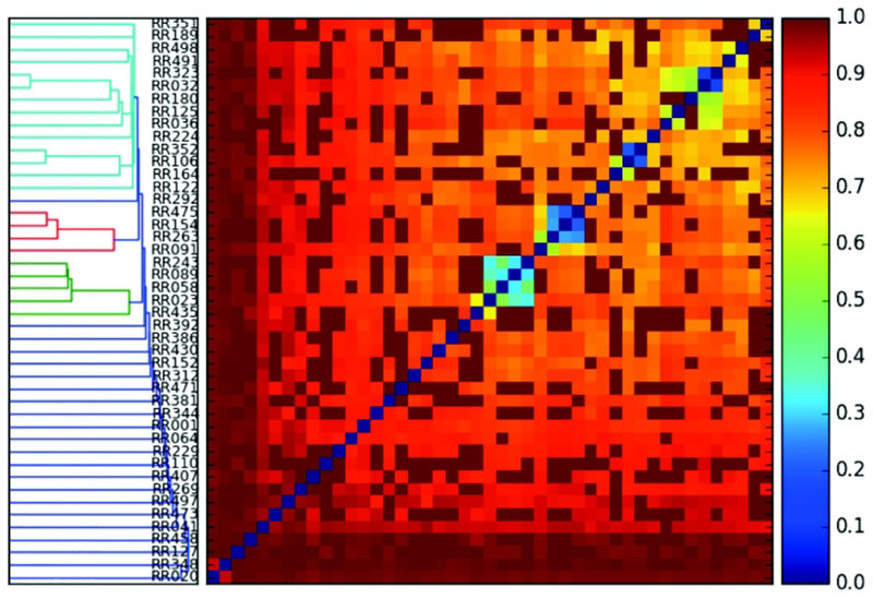 Figure 3.