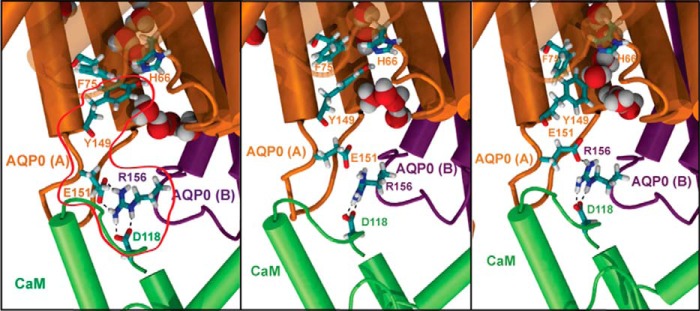 FIGURE 9.