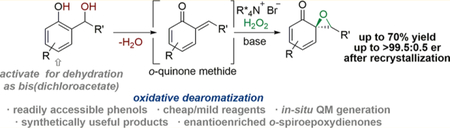 graphic file with name nihms-1010151-f0001.jpg