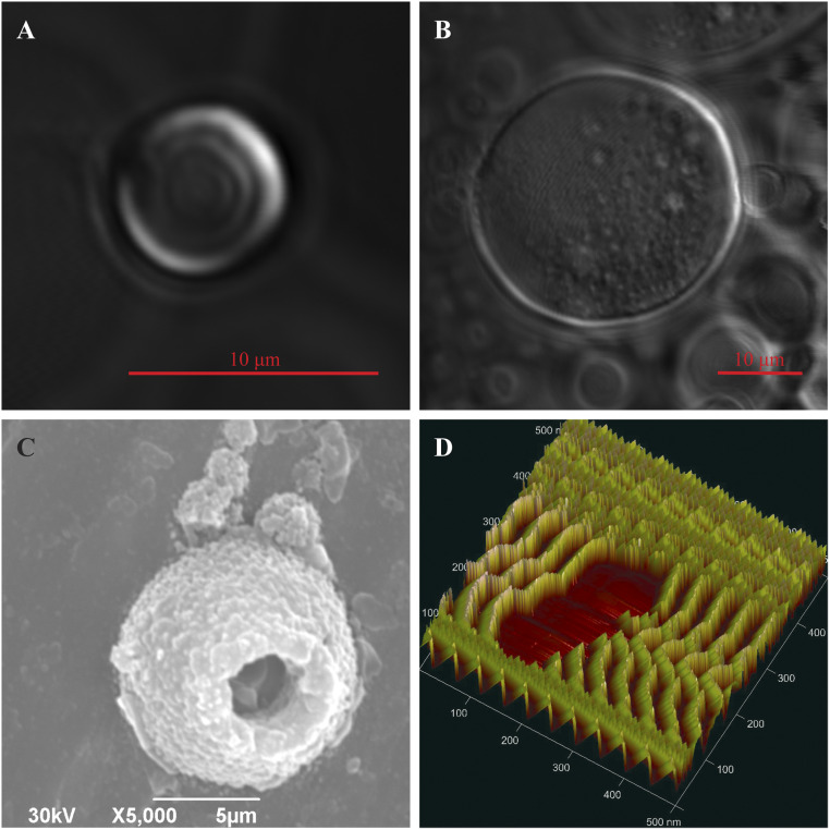 Fig. 3.