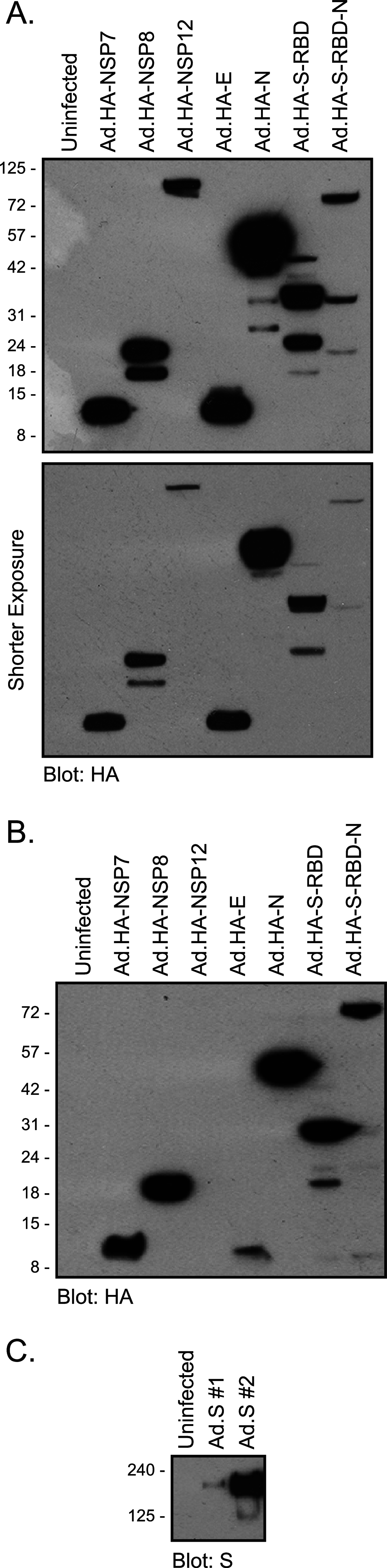 FIG 2
