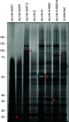 FIG 4