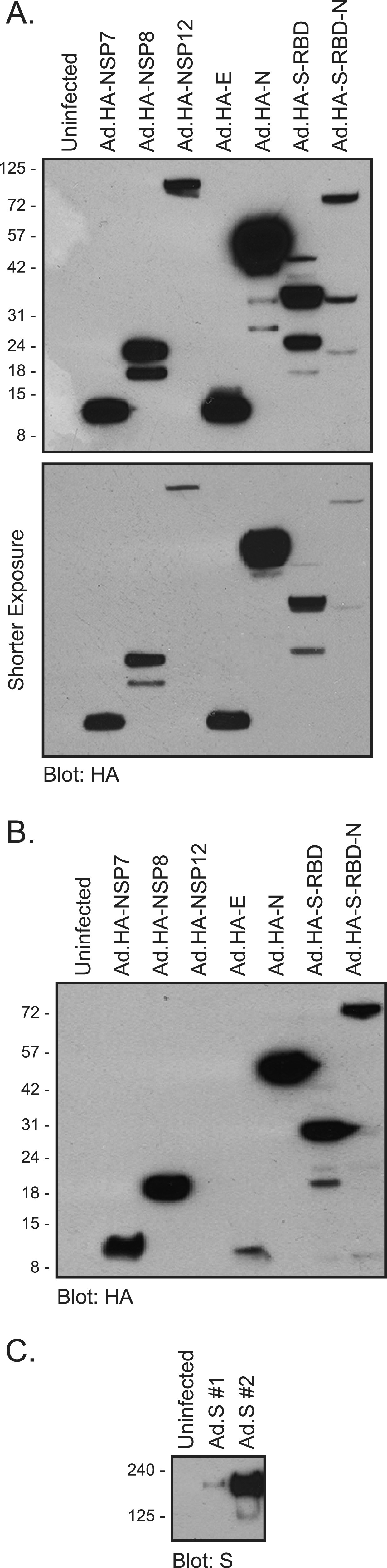 FIG 2