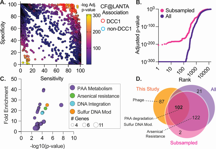 Specificity vs sensitivity plot with color-coded p-values, a rank vs p-value graph comparing subsampled and all data, fold enrichment vs p-value plot for gene categories, and Venn diagram of gene associations across different studies.