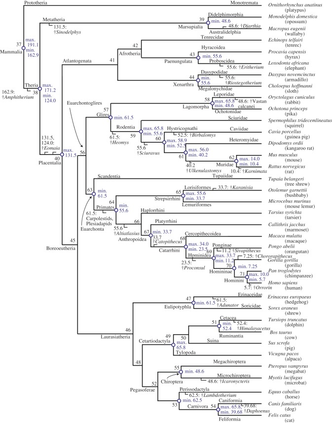 Figure 1.