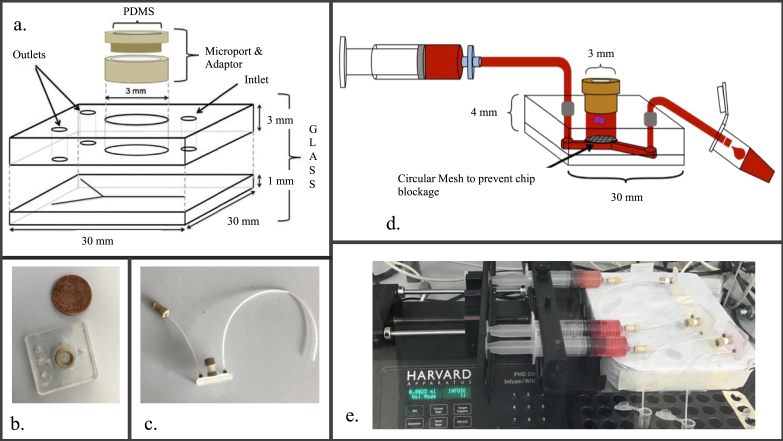 Figure 1