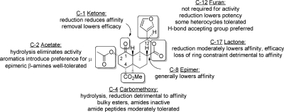 Fig. 10.