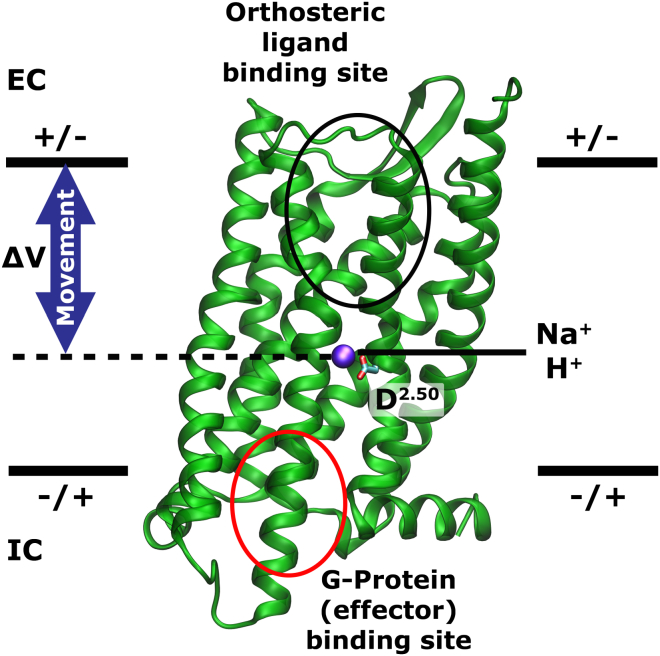 Figure 7