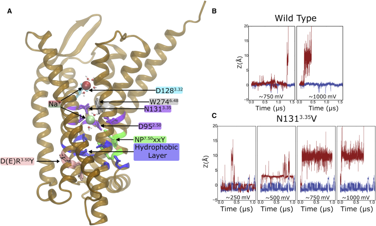 Figure 2