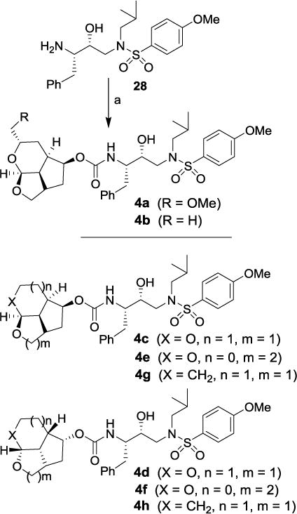 Scheme 5