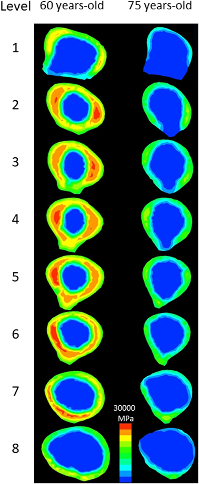 Supplementary Fig. 2