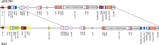 FIG. 2.