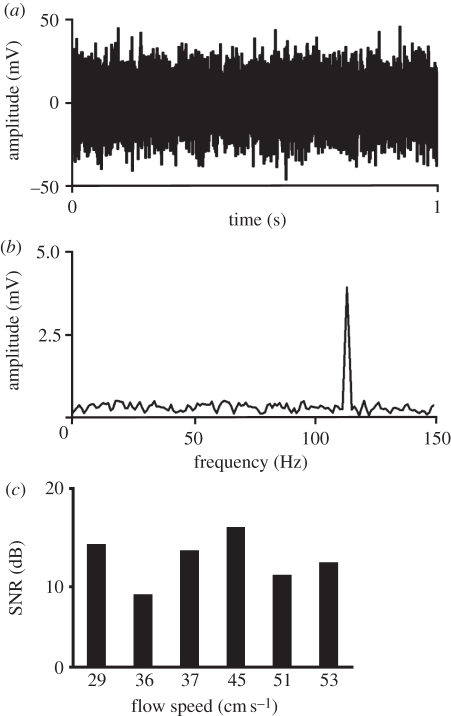 Figure 4.