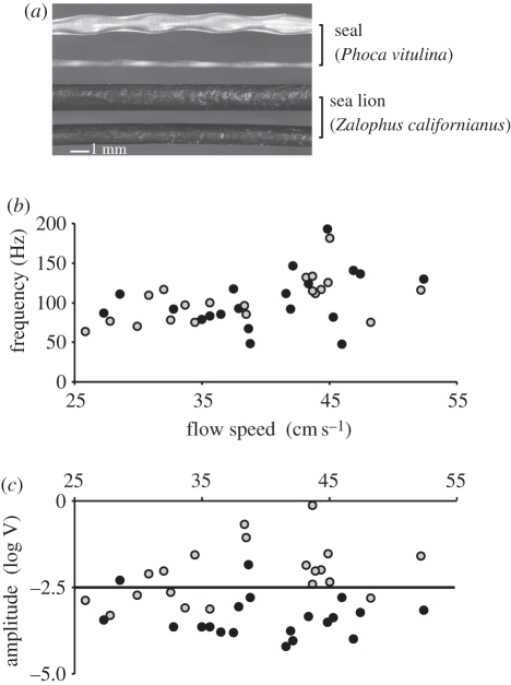 Figure 1.