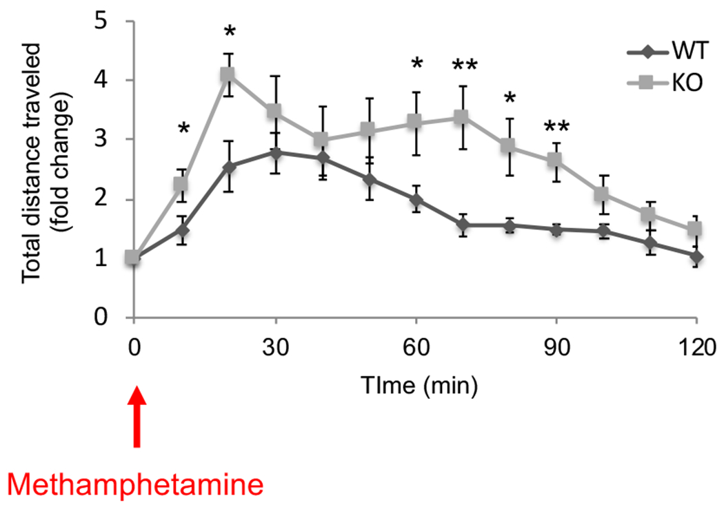 Fig. 3 |