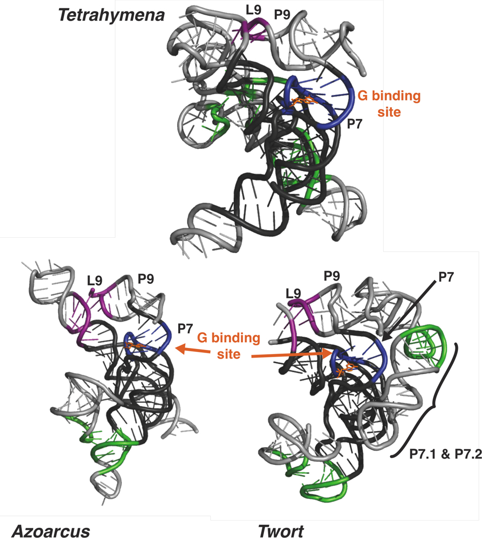 Figure 11