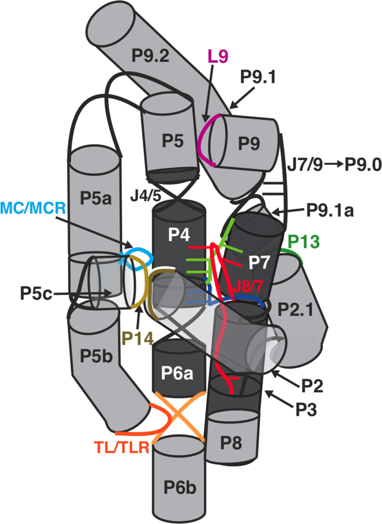 Figure 9