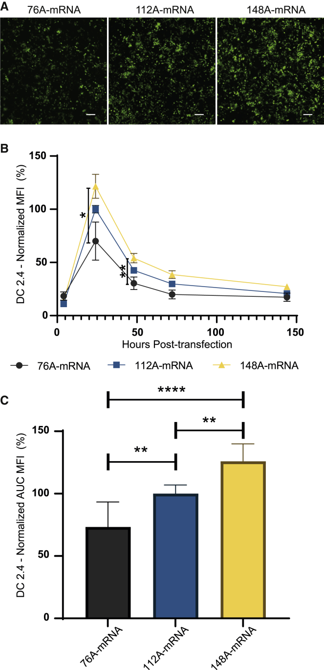 Figure 3