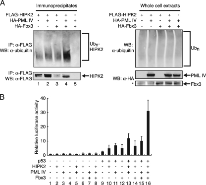 FIG. 6.